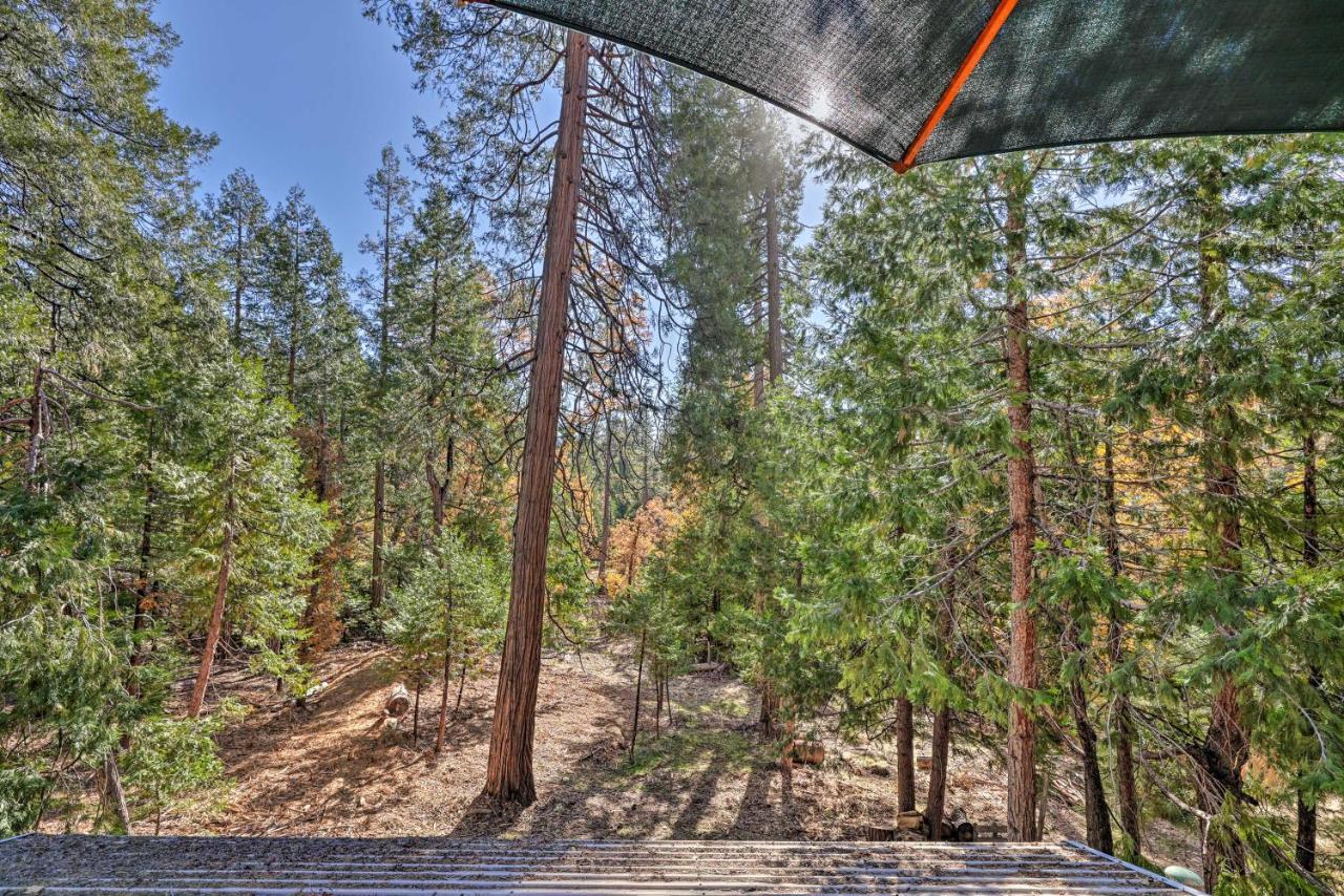 Quiet Twain Harte Cabin With Deck And Forest Views! מראה חיצוני תמונה